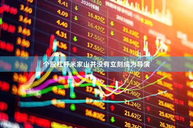 个股杠杆米家山并没有立刻成为导演