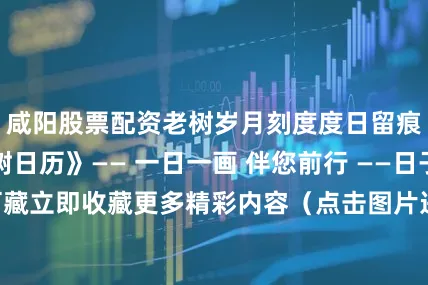 咸阳股票配资老树岁月刻度度日留痕《2026老树日历》—— 一日一画 伴您前行 ——日子成册·时光可藏立即收藏更多精彩内容（点击图片进入）“把小树种在朋友圈”添加小树微信不走丢